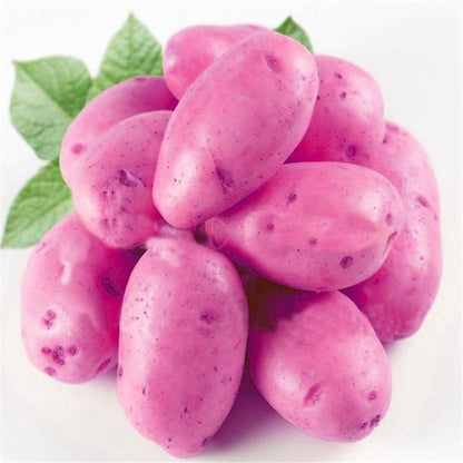 Purple Potato Vegetable Seeds 120 Pack