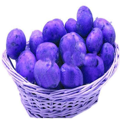 Purple Potato Vegetable Seeds 120 Pack