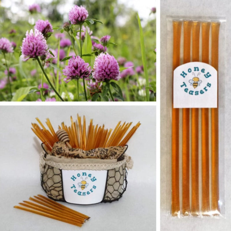 5 Pack Clover Honey Snack Sticks