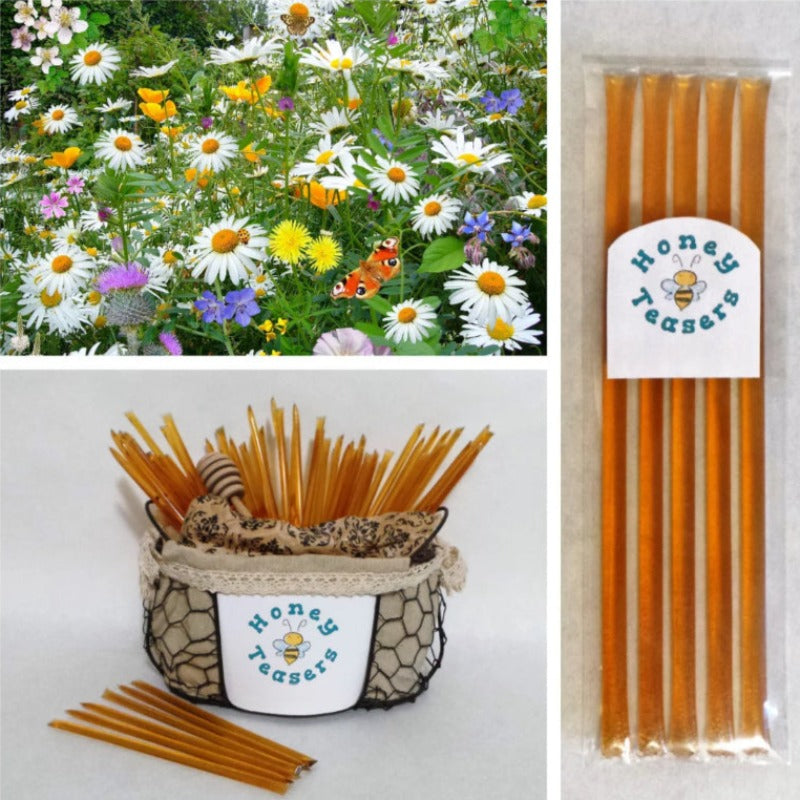 5 Pack Wildflower Honey Sticks