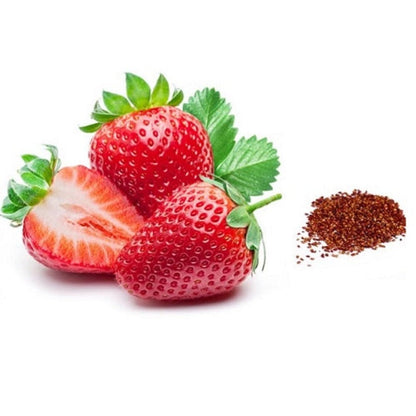 Organic Strawberry Seeds For Gardening