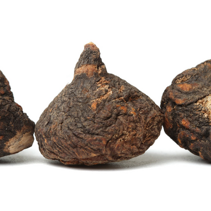 Maca Herb Seeds