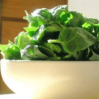 Bloomsdale Spinach Seeds