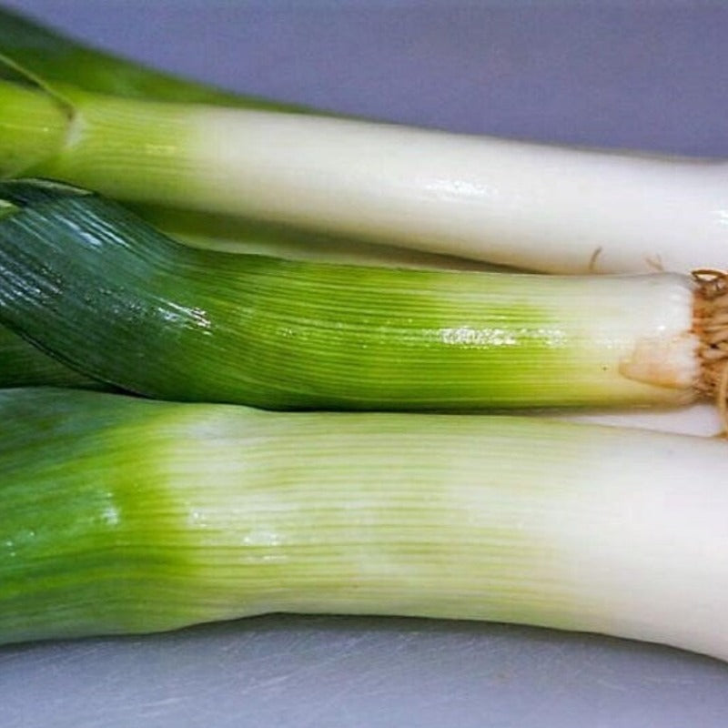 Broad London Leek Seeds