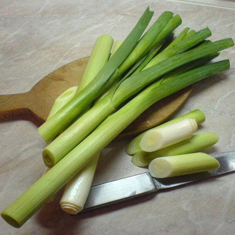 Broad London Leek Seeds