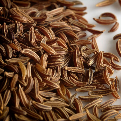 Caraway Herb Seeds