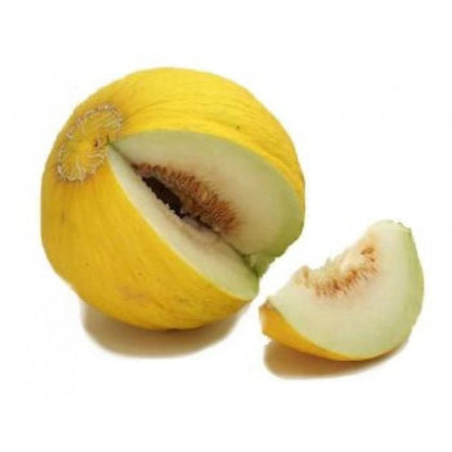 Casaba Melon Cucumis Melo Fruit Seeds