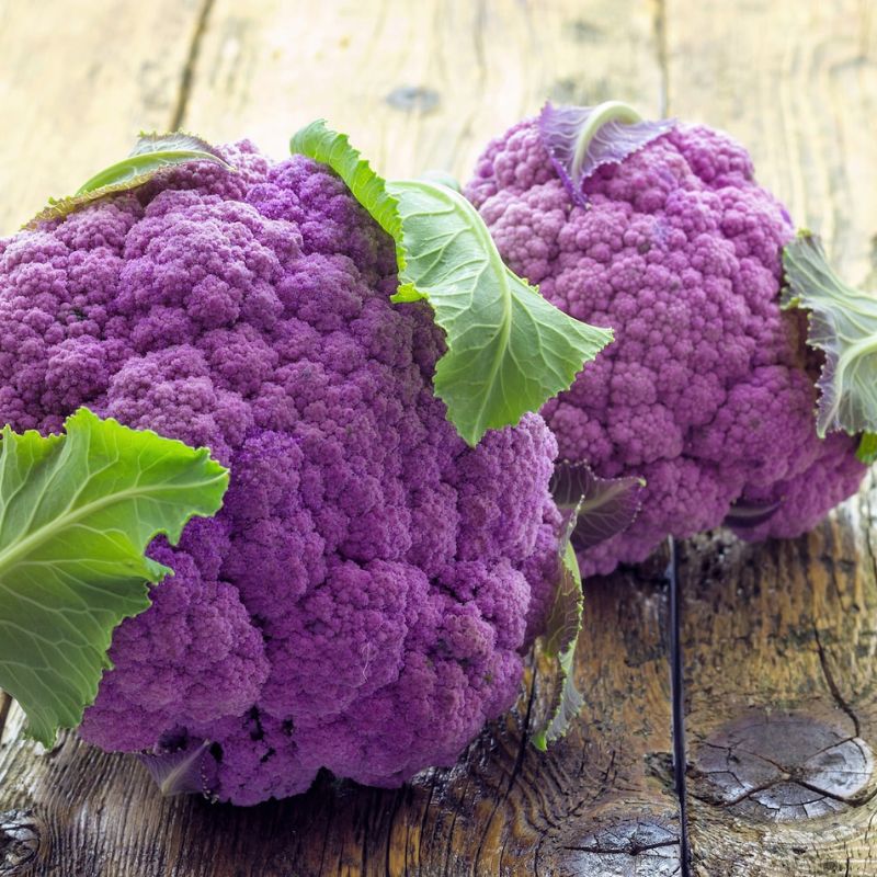 Cauliflower Vegetable Seeds