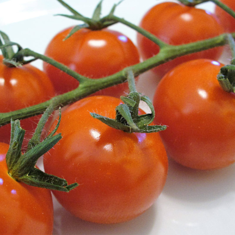 Cherry Tomato Seeds