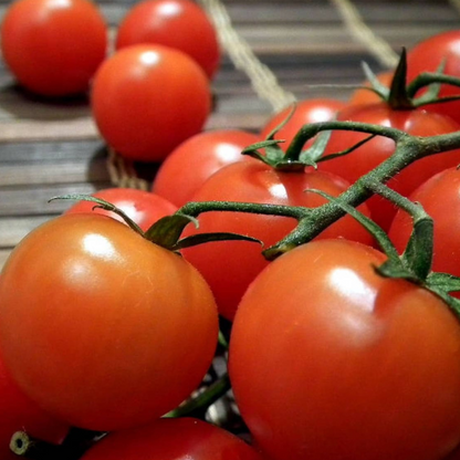 Cherry Tomato Seeds