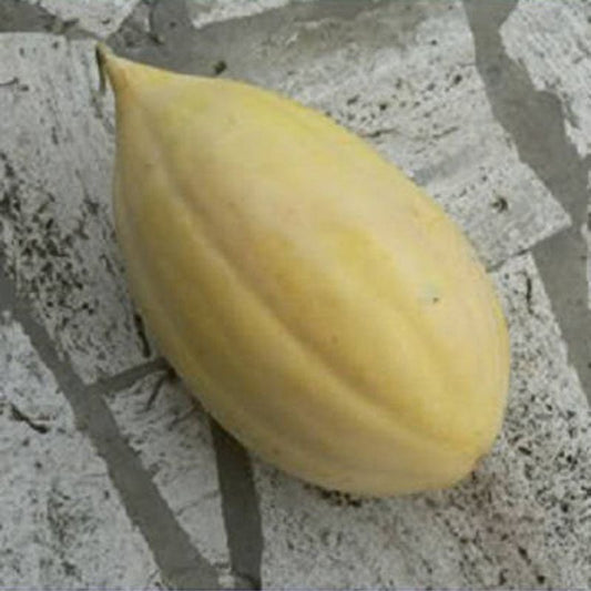 Cucumis Melo Banana Cantaloupe Fruit Seeds