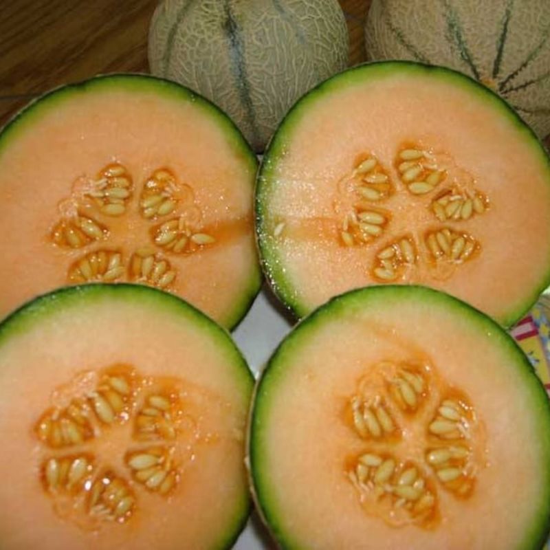 Cucumis Melo Cantaloupe Fruit Seeds