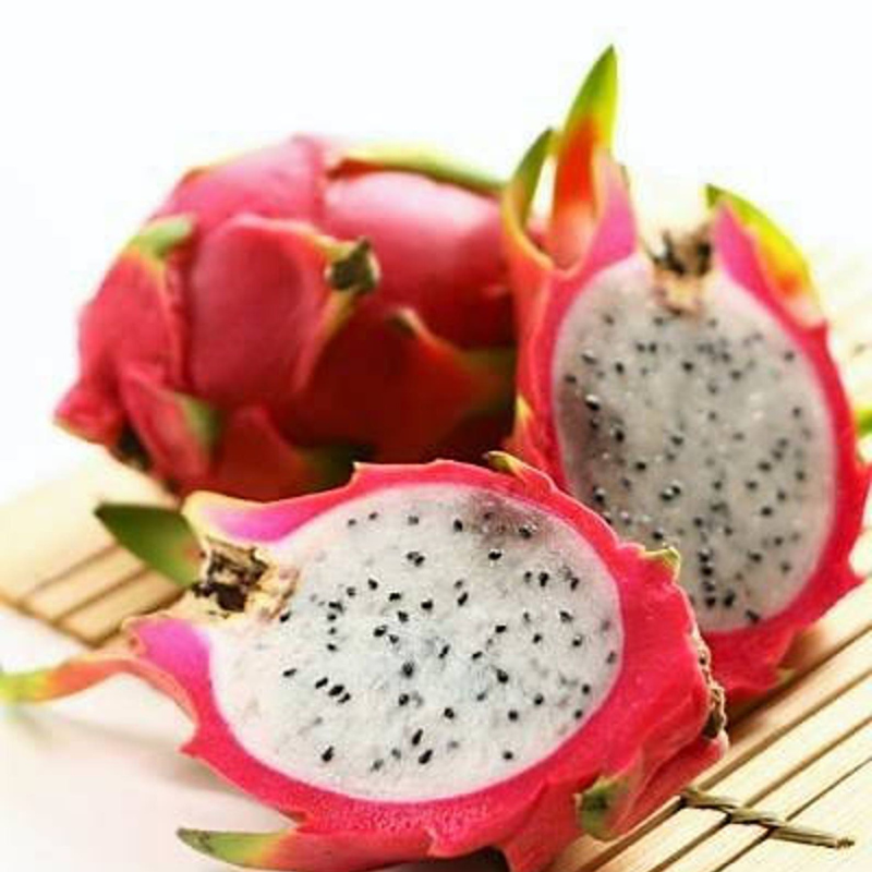 Dragon Fruit Cactus Seeds