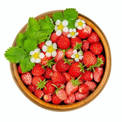 Fragaria Vesca Alexandria Fruit Seeds