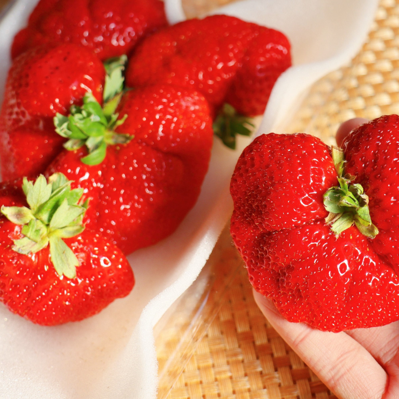 Giant Strawberry Fruit Seeds