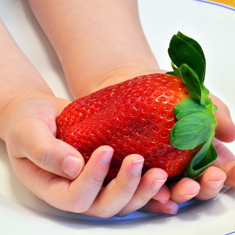 Giant Strawberry Fruit Seeds