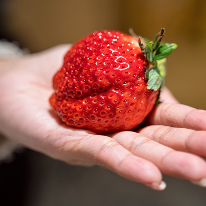 Giant Strawberry Fruit Seeds