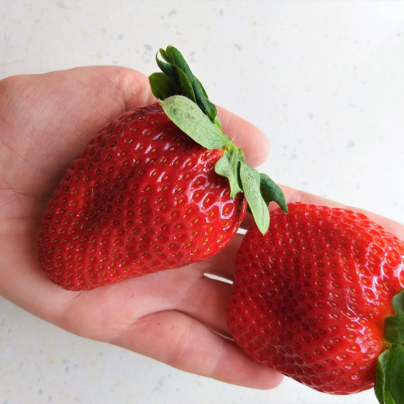 Giant Strawberry Fruit Seeds