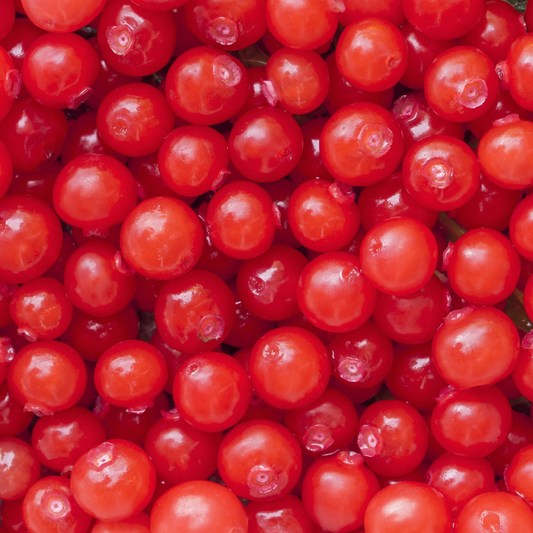 Huckleberry Fruit Seeds