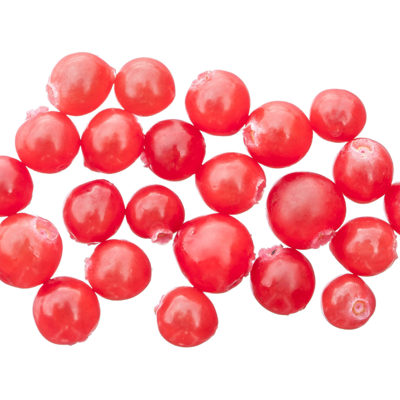 Huckleberry Fruit Seeds