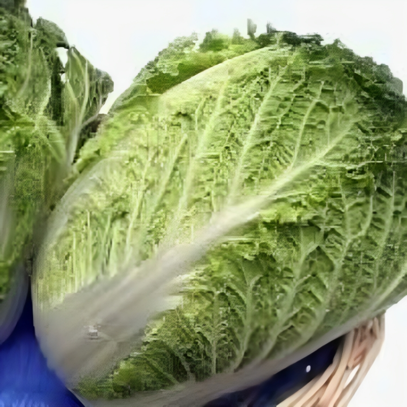 Michihili Cabbage Seeds