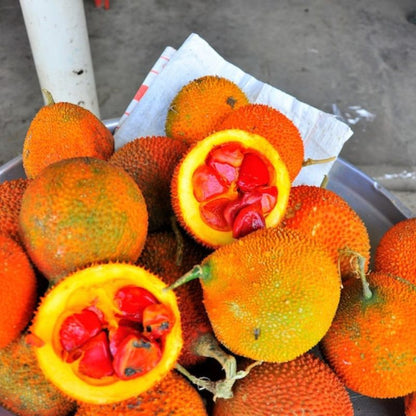 Momordica Cochinchinensis Fruit Seeds