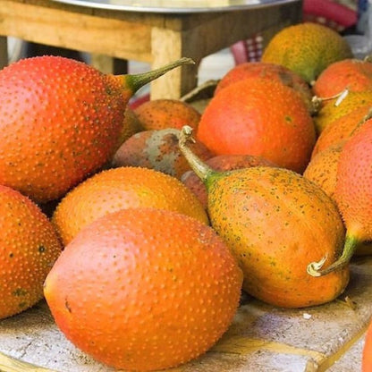 Momordica Cochinchinensis Fruit Seeds