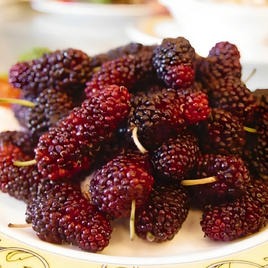Mulberry Fruit Seeds
