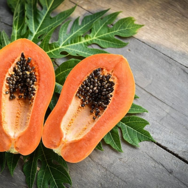 Papaya Tree Fruit Seeds