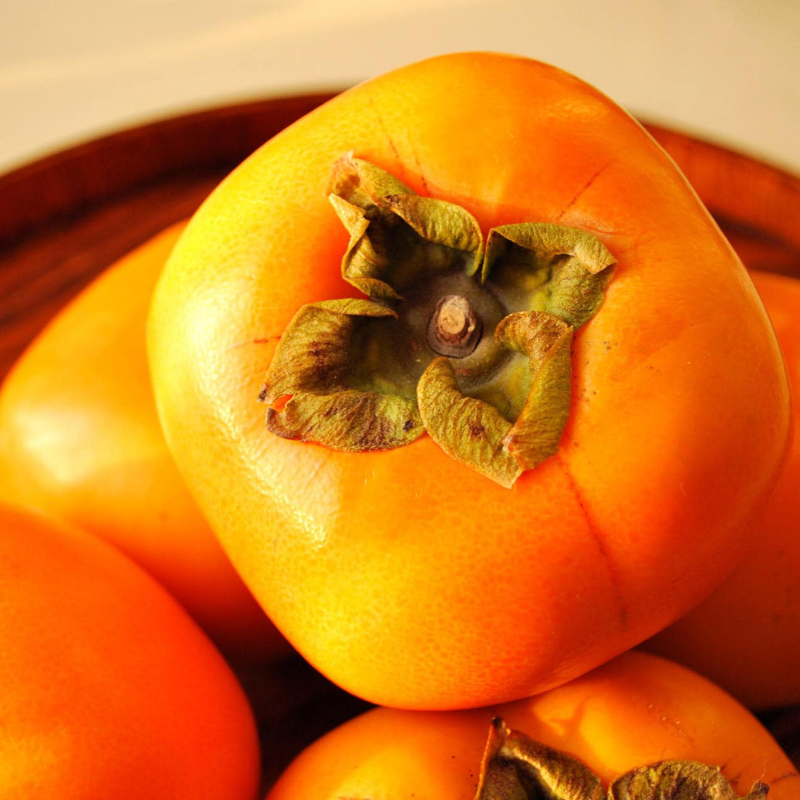 Persimmon Fruit Seeds