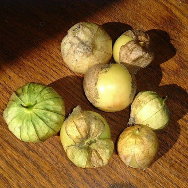 Pineapple Tomatillo Vegetable Seeds