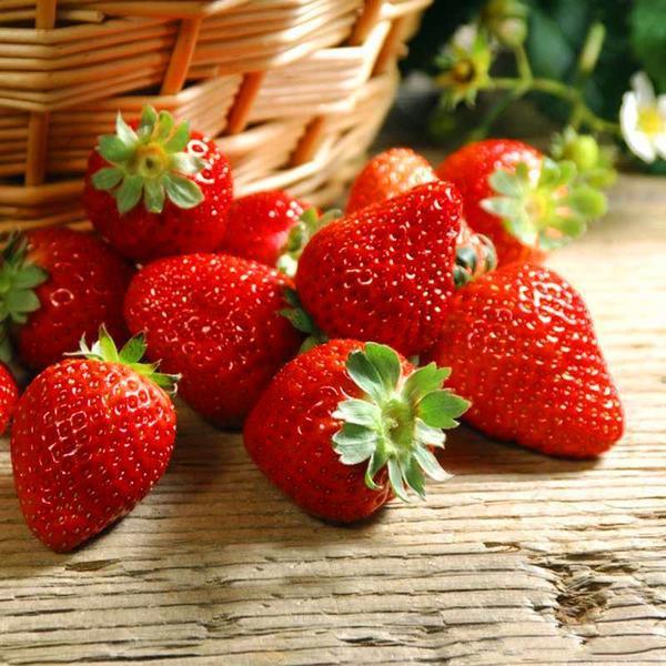 Climbing Strawberry Seeds