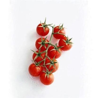 Tomato Garden Seeds