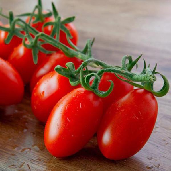 Tomato Garden Seeds